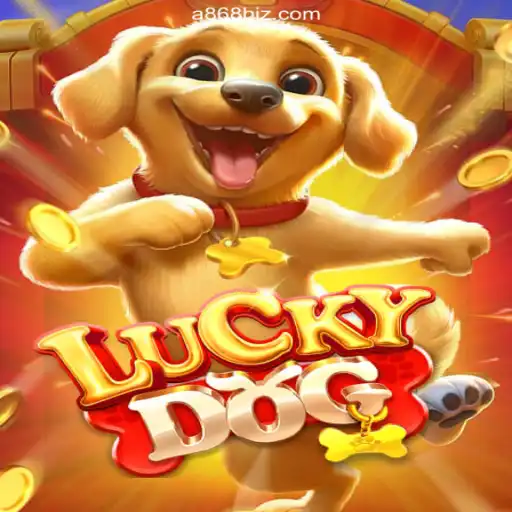 Discovering LuckyDog: Brazil's Leading Betting Platform